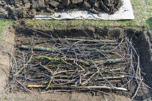 Формирование дренажной основы