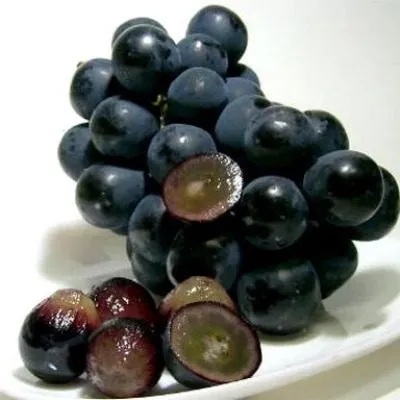 fudzhiminori-7-233632