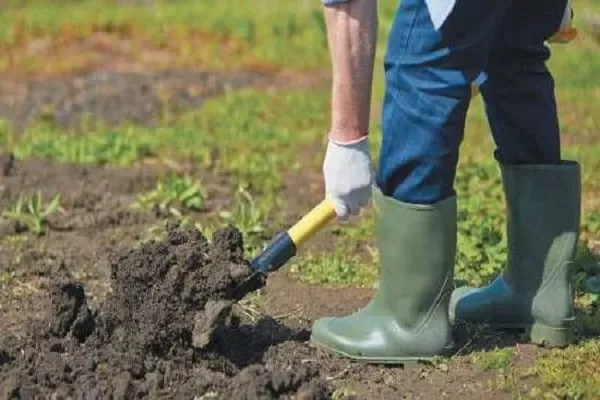 Глубокая перекопка