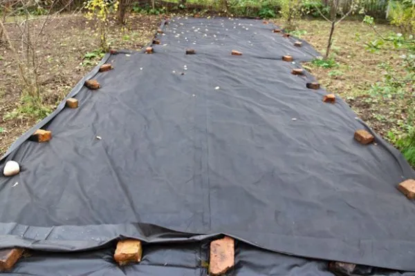 грядки нужно накрыть черной полиэтиленовой пленкой