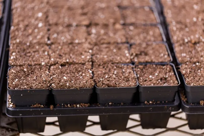 рассадные контейнеры с дренажными отверстиями