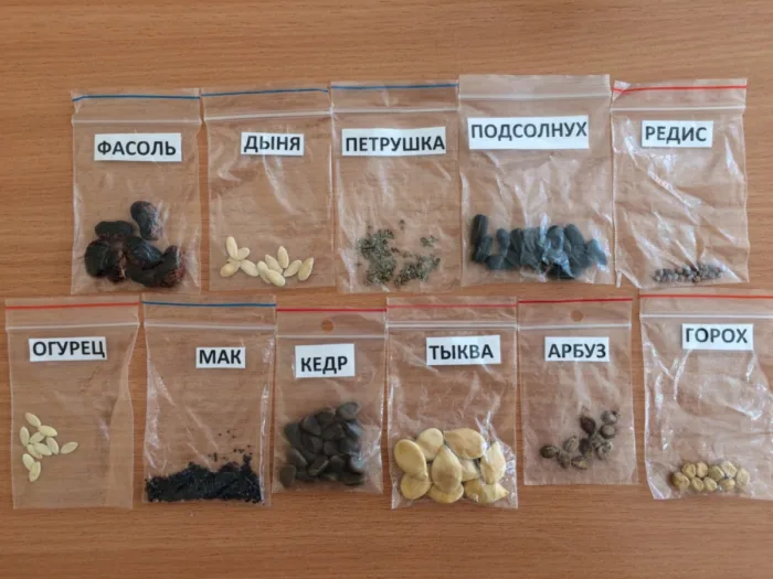 подписанные пакетики с семенами самодельные