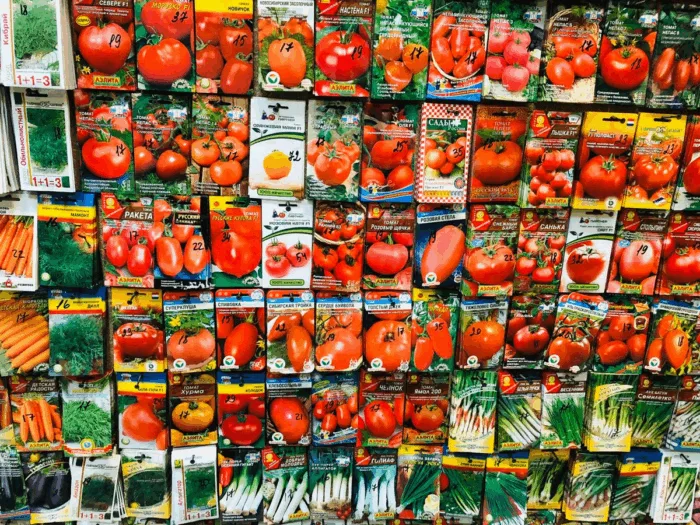 садовод изучает каталог семян