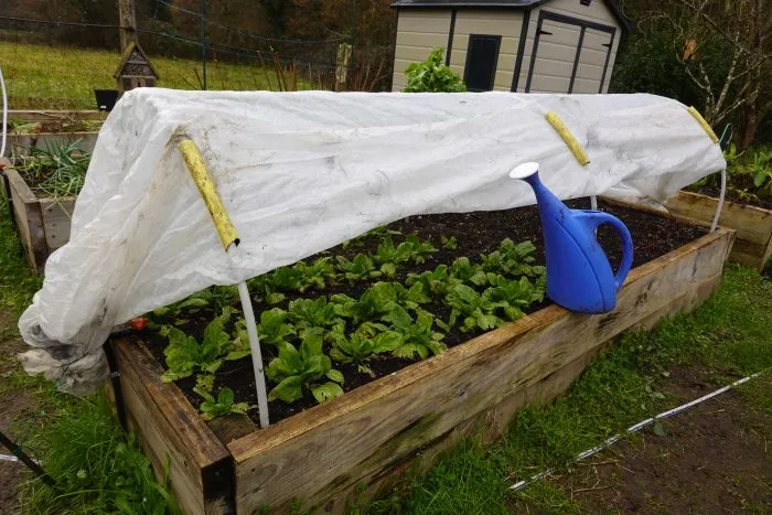 парник весной укрытие спанбондам