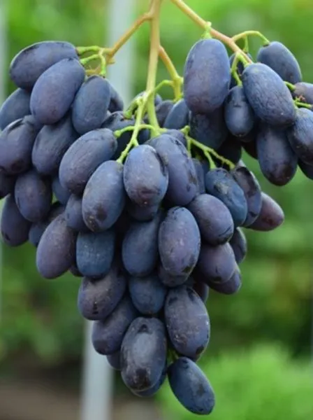 kataloniya-main-230567