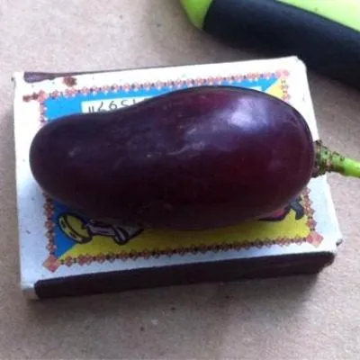 knyaz-trubetskoy-5-234952