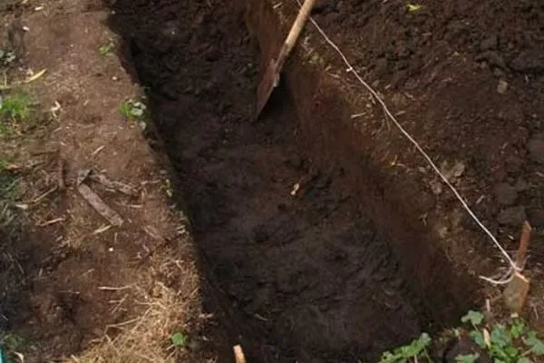 Тёплые грядки своими руками: как сделать и что посадить