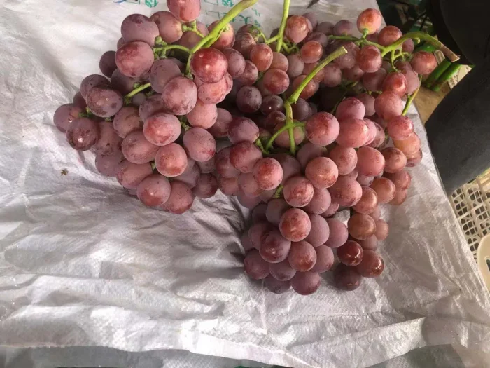 krasnaya-planeta-3-236474