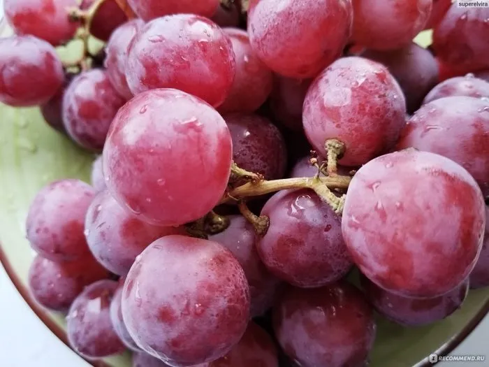 krasnaya-planeta-4-236474