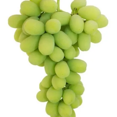 lend-kruzer-3-229664