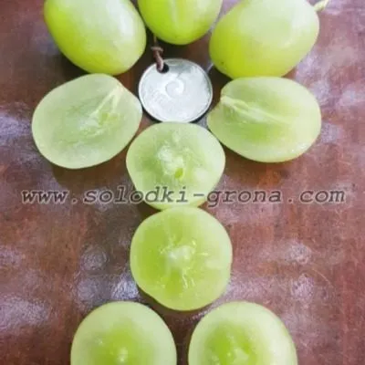 lend-kruzer-4-229664