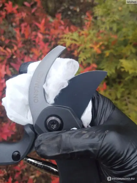 дезинфекция секатора спиртом