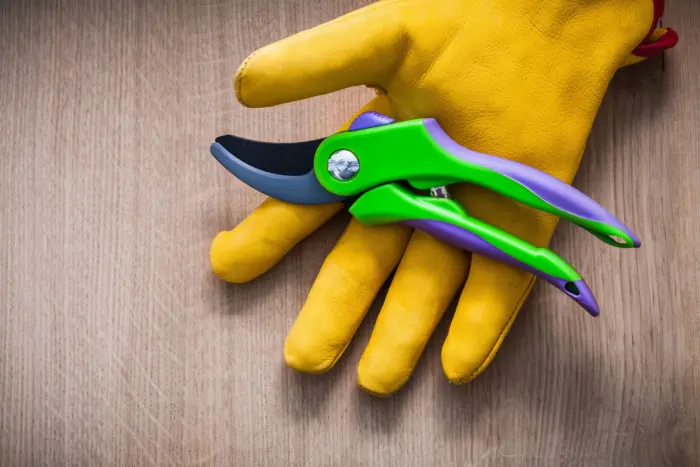 секатор и перчатки на столе