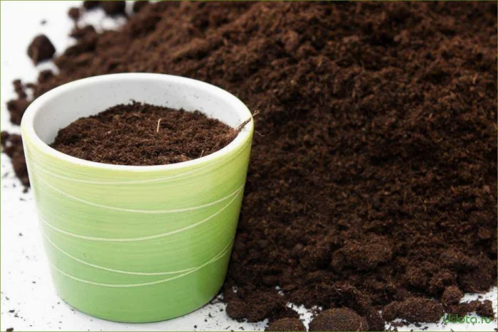 садовый грунт и горшки для рассады