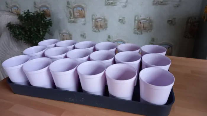 пластиковые стаканчики для рассады