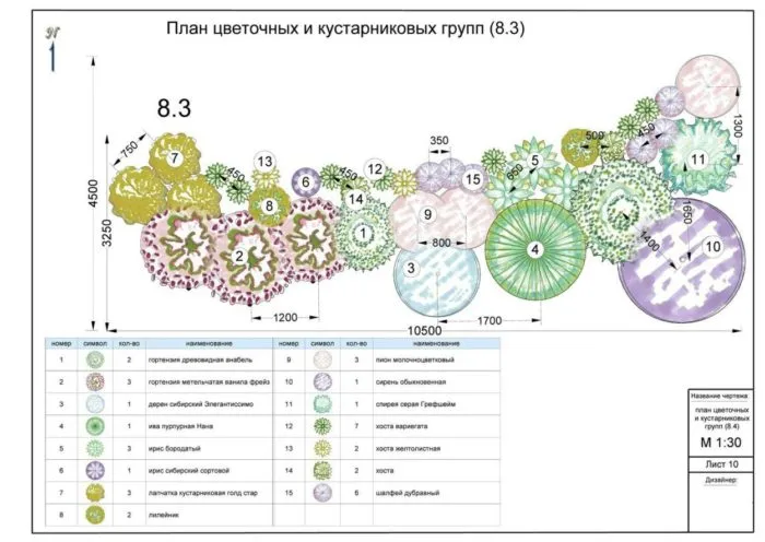 план цветника на бумаге
