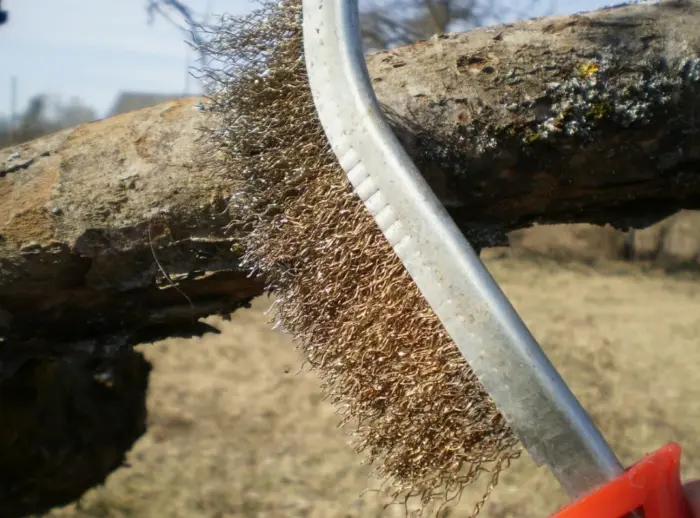 очистка коры дерева щеткой