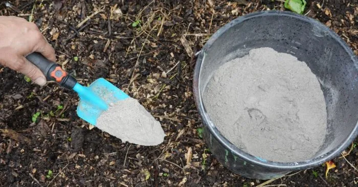 древесная зола в ведре