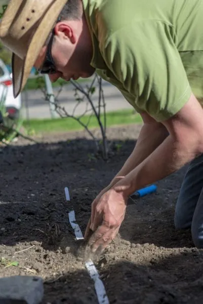 садовник проверяет почву