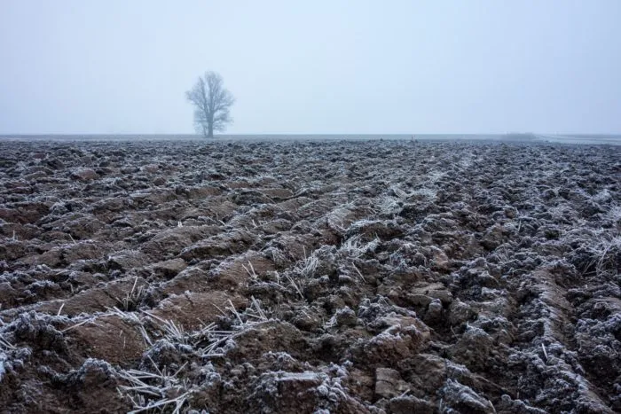 почва с морозной корочкой