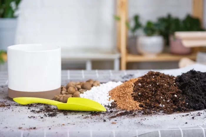 торф и песок для рассады