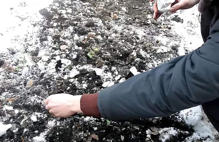 посев семян в мерзлую борозду