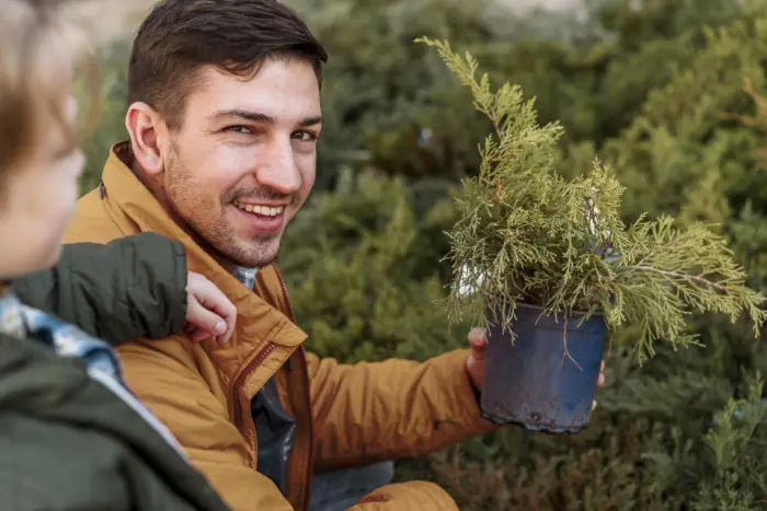 садовник выбирает саженец хвойного