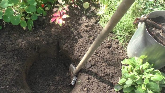 копка ямы для посадку