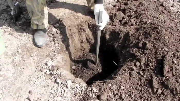 установка опоры в лунку при посадке