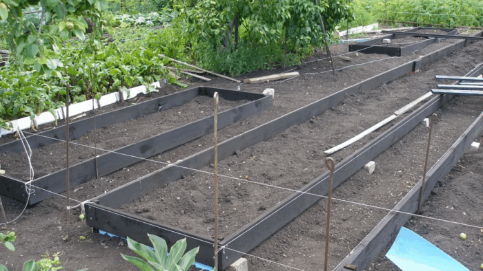 подготовка грядки для клубники