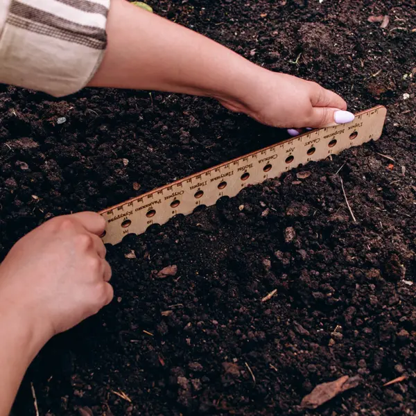 бороздки для посева линейкой