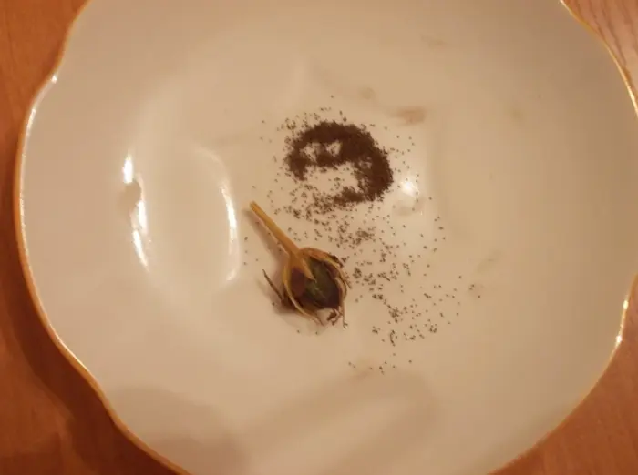 семена эустомы дражированные