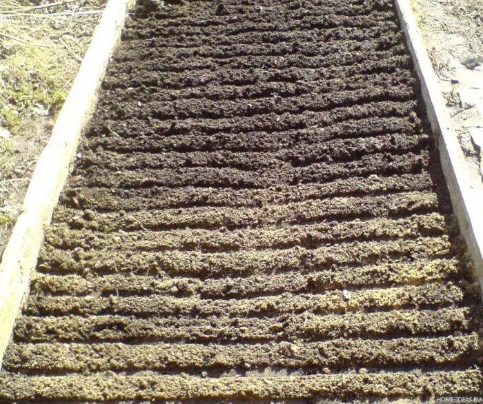 борозда для посева на грядке