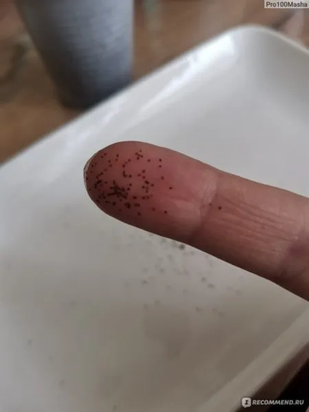 семена лобелии на ладони