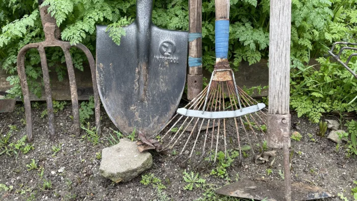 садовые грабли на грядке