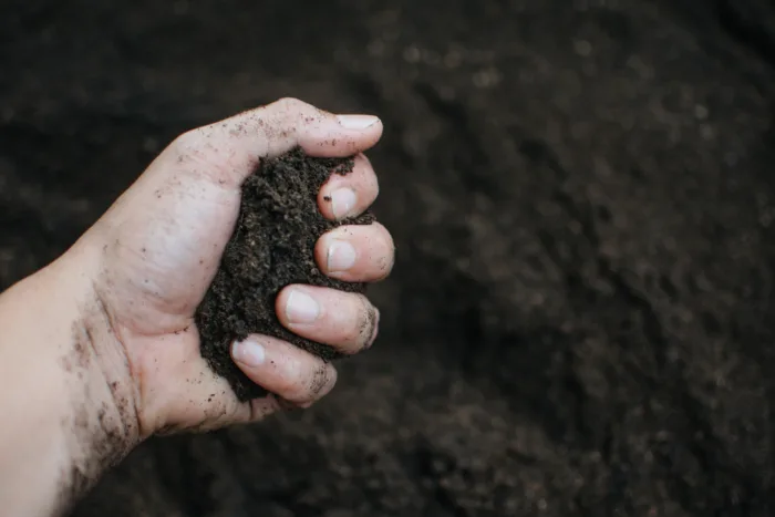 рыхлая почва в руках