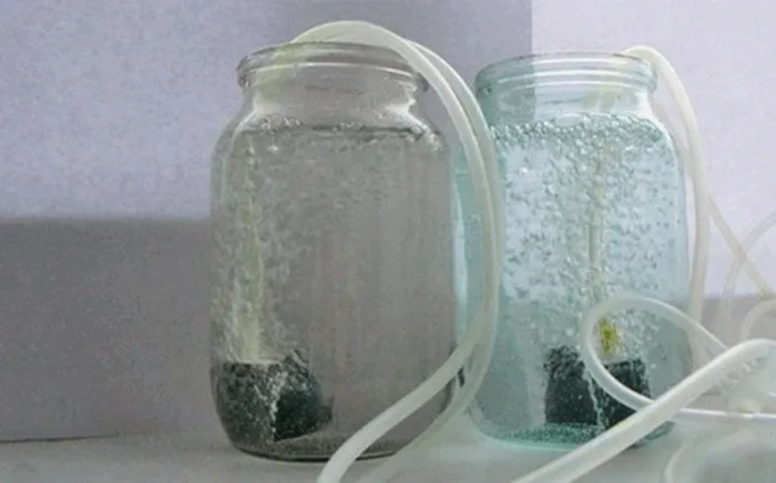 барботирование семян в банке