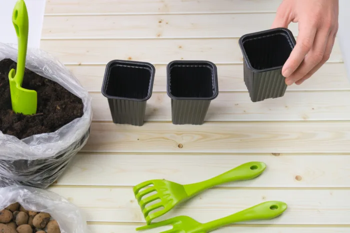 пластиковые стаканчики для рассады