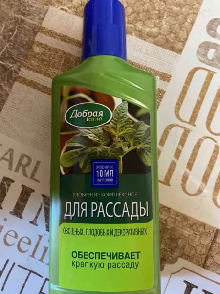 жидкая подкормка рассады