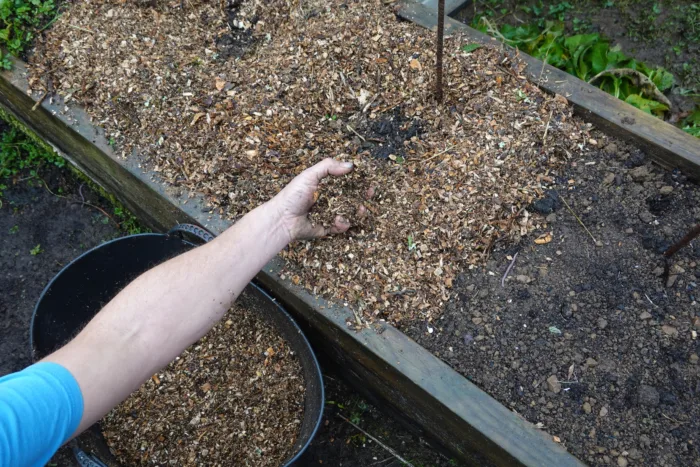 внесение компоста в грядку