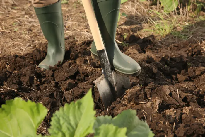 перекопка грядки лопатой