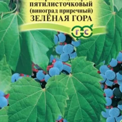 prirechnyy-zelenaya-gora-1-231087