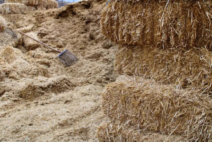 солома для мульчирования