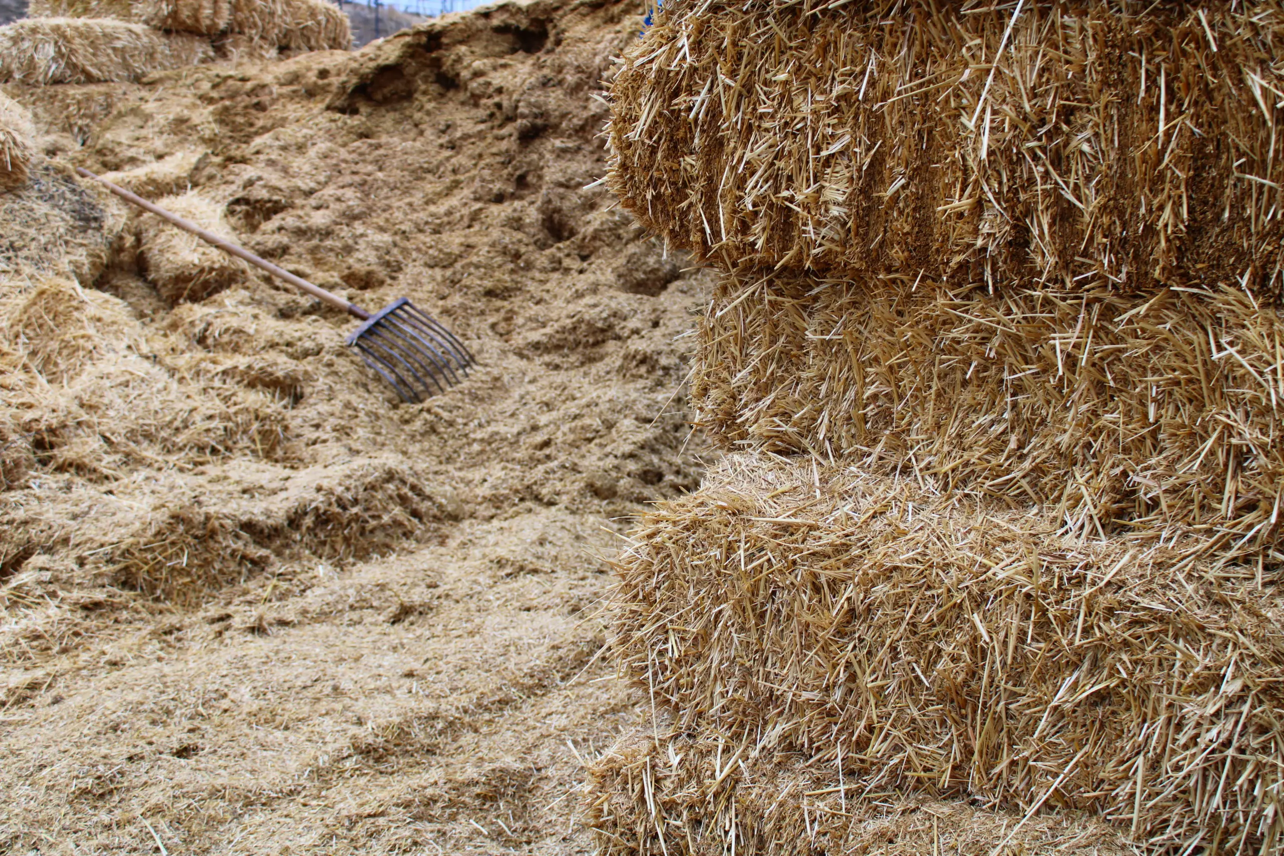 солома для мульчирования