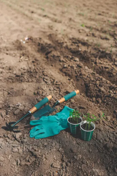 садовые инструменты на земле