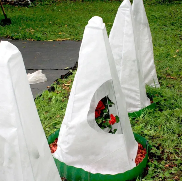 зимнее укрытие для роз