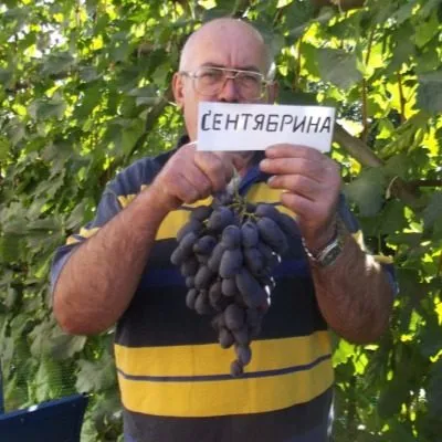 sentyabrina-4-229649