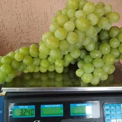 slava-ukraine-5-231120