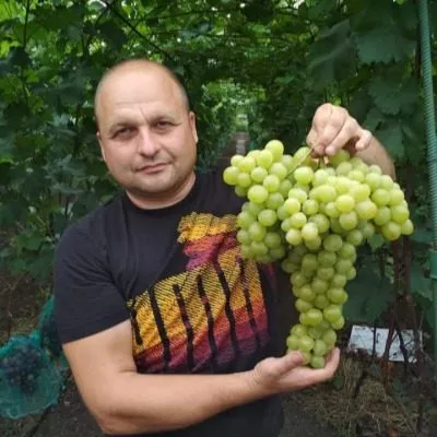 slava-ukraine-6-231120