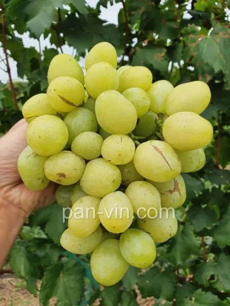 slava-ukraine-main-231120